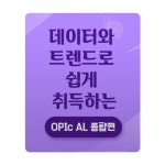 반보 데이터와 트렌드로 쉽게 취득하는 OPIc(오픽) AL 종합편_이현석 - 에누리 가격비교