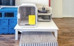 [고성] 국화꽃향기 애견동반 펜션 - 에누리 가격비교