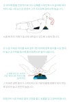 스파인웍스 - 에누리 가격비교