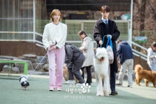 A Good Day to be a Dog - Stills (Drama, 2023, 오늘도 사랑스럽개) @ HanCinema A Good Day to be a Dog - Stills (Drama, 2023, 오늘도... 