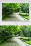 항주 서호 측면 도로 조용한 HD 사진 사진 PNG JPG 무료 다운로드 - Pikbest
