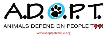 Fundraiser by Kelleigh Ash : Save Mollie with Ear Surgery! Donate to Save Mollie with Ear Surgery!, organized by Kelleigh Ash