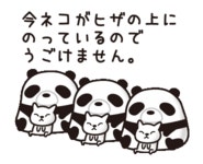 パンダ凸/ゆるキャラ凸/かわいい凸[76109575]｜完全無料画像検索のプリ画像 byGMO