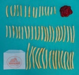 no title[75378023]｜完全無料画像検索のプリ画像 byGMO