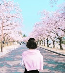 説明文[62940124]｜完全無料画像検索のプリ画像 byGMO