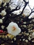 保存→いいね[53825877]｜完全無料画像検索のプリ画像 byGMO