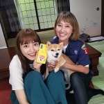 着飾る恋には理由があって[84965232]｜完全無料画像検索のプリ画像 byGMO 着飾る恋には理由があって[84965232]... 