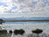 Driggs, ID : Reflection of the Tetons photo, picture, image (Idaho) at city-data.com