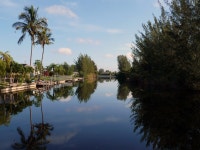 Cape Coral, FL : Nothing like going for an early morning walk with this for a view photo, picture, image (Florida) at city-data.com