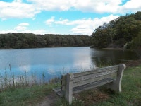 Matawan, NJ : Cheesequake Park photo, picture, image (New Jersey) at city-data.com