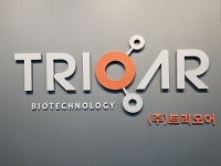진앤투자파트너스(투자조합) - 기업정보 | 투자, 매출, 펀드 - THE VC