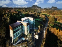 제주 벚꽃여행 | 세상의 모든 여행, 위시빈