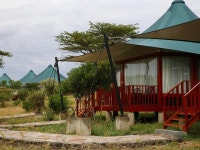 케냐에이에이24(케냐AA) 무인카페 | AA Lodge Maasai Mara - 케냐 숙소 > 호텔 | 세상의 모든 여행, 위시빈