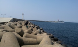 자유 게시판 - 낚시다녀왔습니다 -