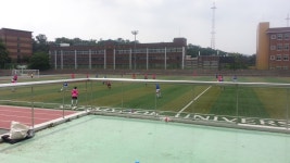 자유 갤러리 - 축구장..