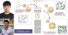 목록 > CNU뉴스 > 백마광장 > 충남대학교  목록 > CNU뉴스 > 백마광장 > 충남대학교