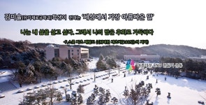 충남대학교
