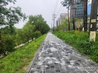 고덕강일 근린공원 1호 및 고덕천 좌안 조경공사 > 건설사업정보 > 시정정보 > 정보소통광장 고덕강일 근린공원 1호 및 고덕천 좌안 조경공사