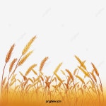 황금 벼 PNG, 일러스트, PSD 및 클립 아트에 대한 무료 다운로드 | Pngtree