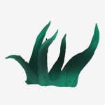 깊고 푸른 반점 공룡 일러스트, 짙은 녹색, 그린, 공룡 PNG 일러스트 및 PSD 이미지 무료 다운로드 - Pngtree