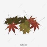 땅 위의 단풍 일러스트, 메이플 리프 클립 아트, 이파리, 단풍잎 PNG 일러스트 및 PSD 이미지 무료 다운로드 - Pngtree