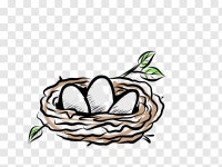 새집 새알, 새 클립 아트, 제비집, 달걀 PNG 일러스트 및 이미지 에... 아트, 제비집, 달걀 PNG 일러스트 및 이미지 에 대한 무료 다운로드... 