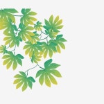 녹색 잎 가지 일러스트, 초록, 이파리, 가지 PNG 일러스트 및 PSD 이미지 무료 다운로드 - Pngtree