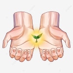희망을 파종하는 손 일러스트, 파종 및 심기, 손 희망, 식물 PNG 일러스트 및 PSD 이미지 무료 다운로드 - Pngtree