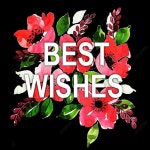 Beautiful Background Of The Word Quot;best Wishes Quot; With Watercolor Floral, 수채화, 꽃, 컬러 PNG, 일러스트 및 벡터 에 대한... 