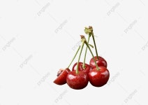 체리, 재료, 비어 있는, 요소 PNG 일러스트 및 이미지 에 대한 무료 다운로드 - Pngtree
