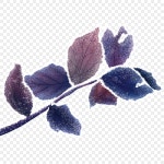 프로스트 잎, 서리, 가을, 태양 용어 24 태양 용어 PNG 일러스트 및 이미지 에 대한 무료 다운로드 - Pngtree