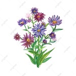 과, 한약, 전통적인 중국 약, 허브 PNG 일러스트 및 이미지 에 대한 무료 다운로드 - Pngtree