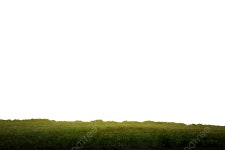 목초지, 산지, 청초, 우거지다 PNG 일러스트 및 이미지 에 대한 무료 다운로드 - Pngtree