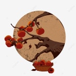 감 일러스트, 붉은 감, 청감, 황감 PNG 일러스트 및 PSD 이미지 무료 다운로드 - Pngtree