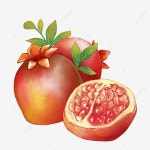 석류 일러스트, 서리, 가을, 태양 용어 24 태양 용어 PNG 일러스트 및 PSD 이미지 무료 다운로드 - Pngtree