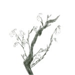 잉크 트리 일러스트, 나무, 잎, 잉크 PNG 일러스트 및 PSD 이미지 무료 다운로드 - Pngtree