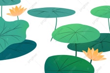 연꽃 연못, 연꽃 연못, 못, 연꽃 연못 재료 PNG 일러스트 및 이미지 에 대한 무료 다운로드 - Pngtree