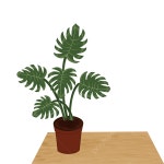몬스 테라 공장, Png, 몬스테라, 식물 PNG 일러스트 및 PSD 이미지 무료 다운로드 - Pngtree