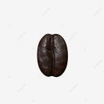 3d 커피 콩, 3d, 커피 콩, 음식 PNG 일러스트 및 PSD 이미지 무료 다운로드 - Pngtree