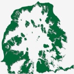 그린 아트, 서체, 아트, 그린 PNG, 일러스트 및 벡터 에 대한 무료 다운로드 - Pngtree