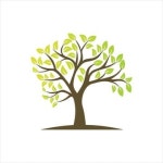 나무 프레임실루엣 이미지 | PNG 일러스트 | Pngtree에 무료 다운로드