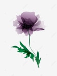 호화스러운, 파스텔 색상으로 칠해진 모란 꽃, 그림, 간단 PNG, 일러스트 및 벡터 에 대한 무료 다운로드 - Pngtree