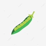 완두콩 벡터, 완두콩, 완두콩 야채, 완두콩과 콩 PNG, 일러스트 및 벡터 에 대한 무료 다운로드 - Pngtree