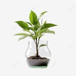 꽃병에 심다, 공장, 집, 꽃병 PNG 일러스트 및 이미지 에 대한 무료 다운로드 - Pngtree