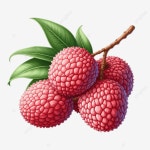 리치 과일, 현실적인 예술 사진, 리치 과일, 잎이 있는 리치 과일 PNG 일러스트 및 이미지 에 대한 무료 다운로드 - Pngtree