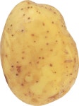 Potato png images Potato png images image with transparent background
