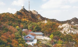 관악산 학바위능선 등산 코스｜연주대 코스 안내 | 서울 공식 관광정보 웹사이트 관악산 학바위능선 등산 코스｜연주대 코스 안내