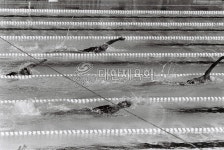 Home > 스포츠미디어 > 체육사진 > 포토뱅크(대표)