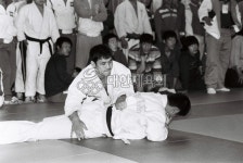 Home > 스포츠미디어 > 체육사진 > 포토뱅크(대표)