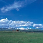 trd032tg02054 / JPG - 멤버십 국내작가포토
